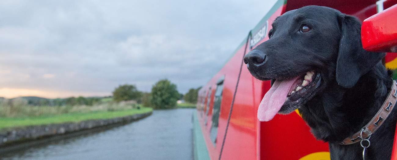 One of Snaygill's red-and-green narrowboats moored on the canal